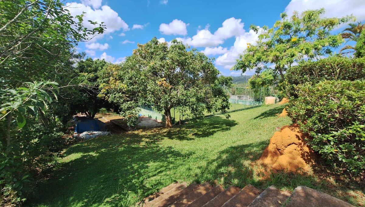 WhatsApp Image 2025-04-04 at 15.15.48 (1)