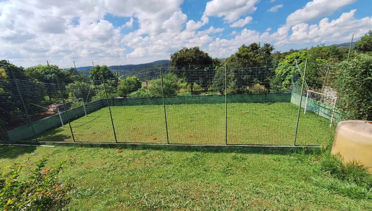 WhatsApp Image 2025-04-04 at 15.15.49